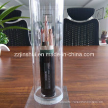 Solid Core or Twisted Tightly Pressed Semi Cylindrical Conductor Armoured Cable XLPE